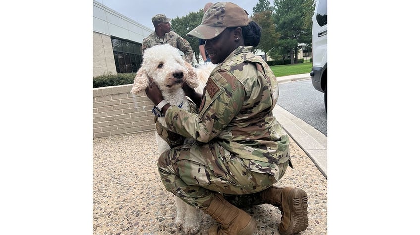 military personnel pets blaze