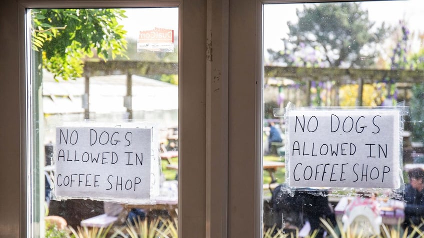 signs on window of restaurant