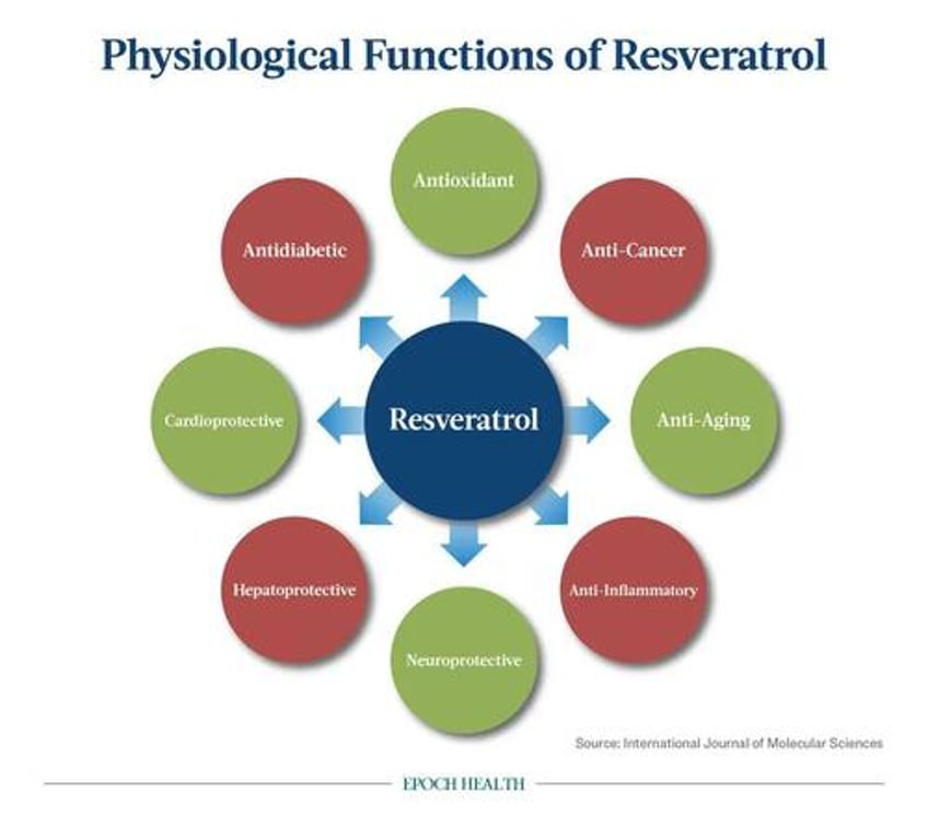 resveratrol a powerful polyphenol that slows cellular aging