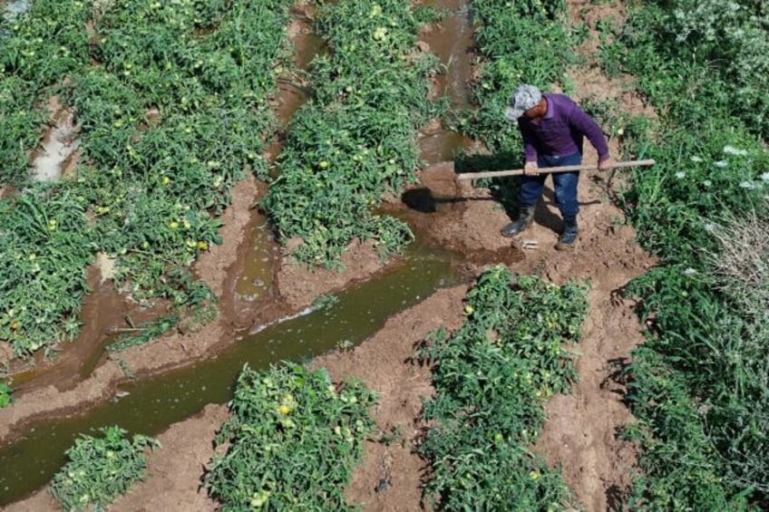 Syrian farmer Mohammed Ramadan, 42, channels water to his crops