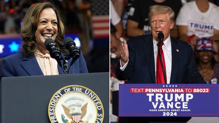 Vice President Kamala Harris is challenging Republican former President Donald Trump for the presidency in 2024.