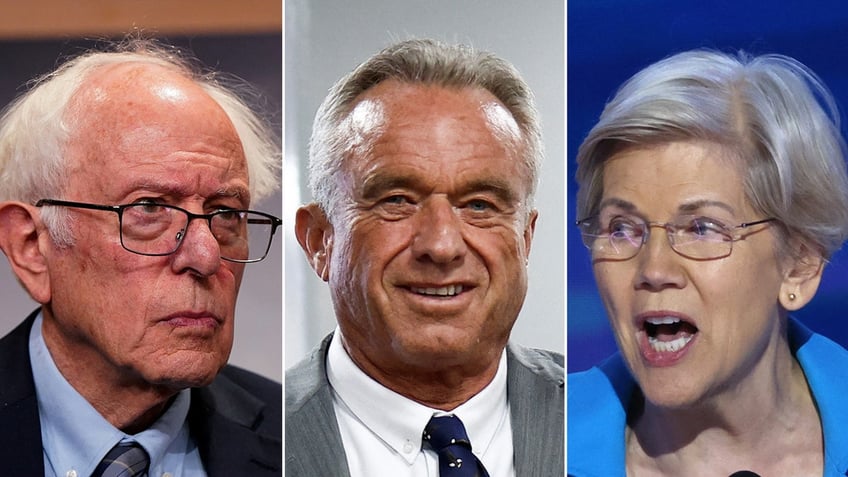 Bernie Sanders, Robert F. Kennedy Jr. and Elizabeth Warren