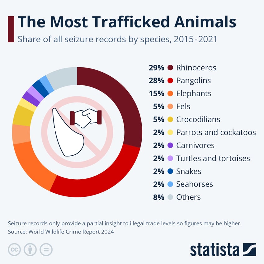 Infographic: The Most Trafficked Animals | Statista