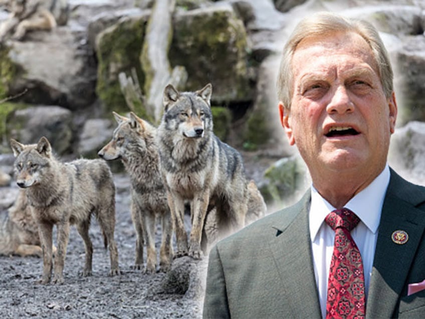 Rep. Mike Simpson, R-Idaho, speaks during a news conference on the Great American Outdoors Act in the Capitol in Washington on Wednesday, July 22, 2020. (Photo by Caroline Brehman/CQ-Roll Call, Inc via Getty Images)