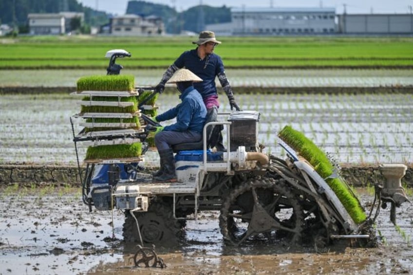 Farmers use a transplanter to plant rice seedlings at a farm in the town of Sanjo, Niigata