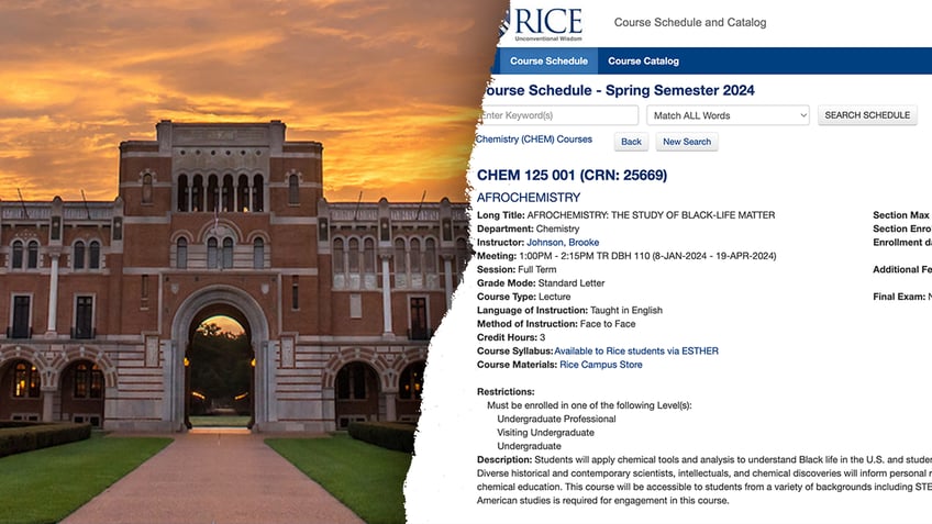 Rice University Afrochemistry