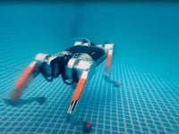 Robot dog is making waves with its underwater skills