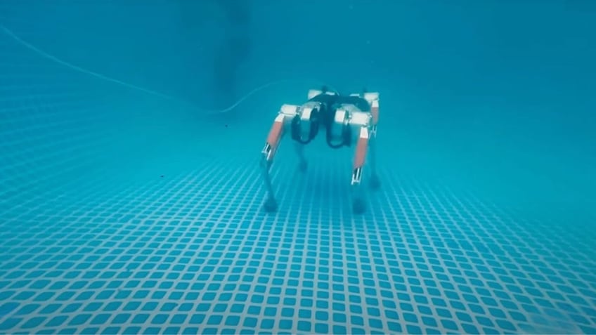 Robot dog is making waves with its underwater skills