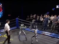 Robots step into the ring for a first-ever boxing match