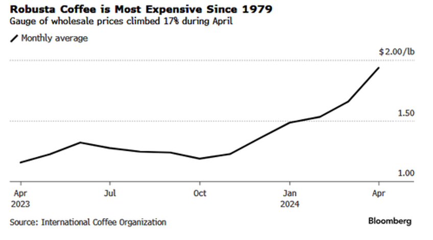 robusta coffee bean prices near half century high as vietnam supply woes spark world crunch 