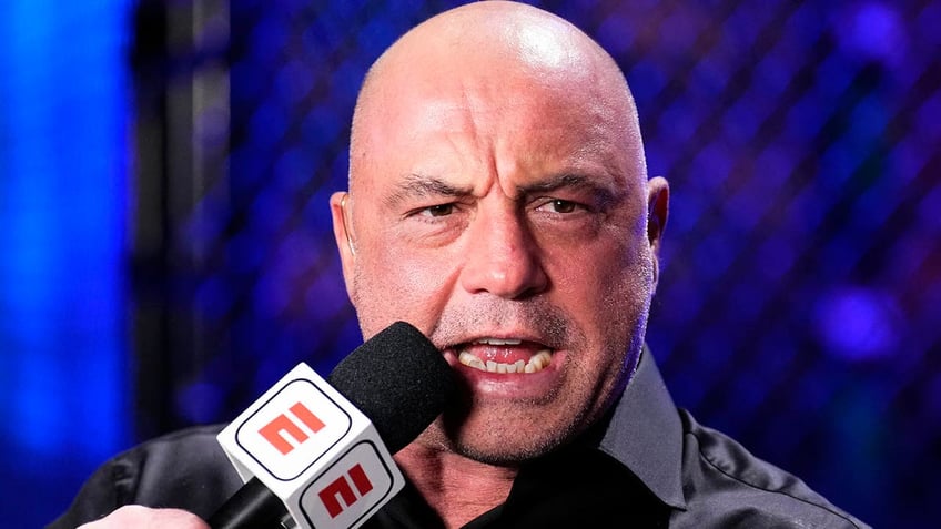 Joe Rogan at MSG in 2022