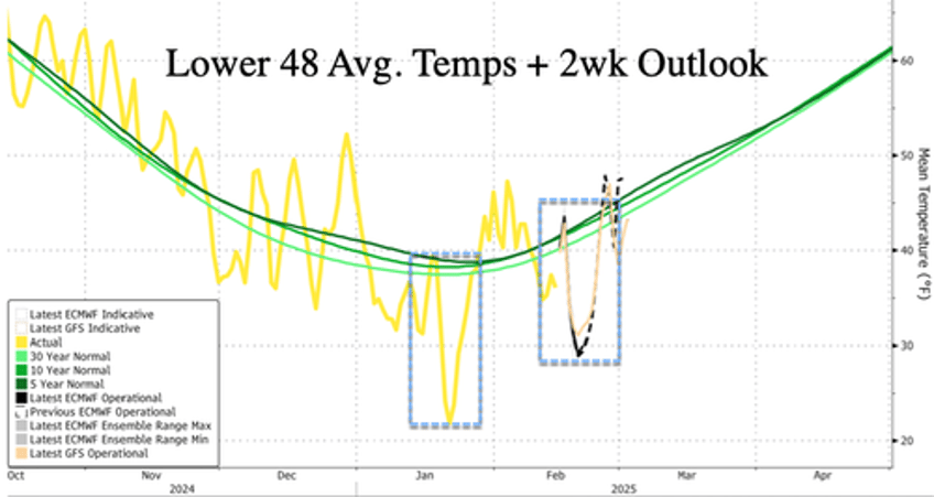 roses are red violets are blue polar vortex is coming for you 