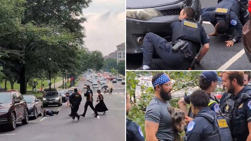 Dog leads Capitol Police on frantic dash across busy DC thoroughfare near Capitol