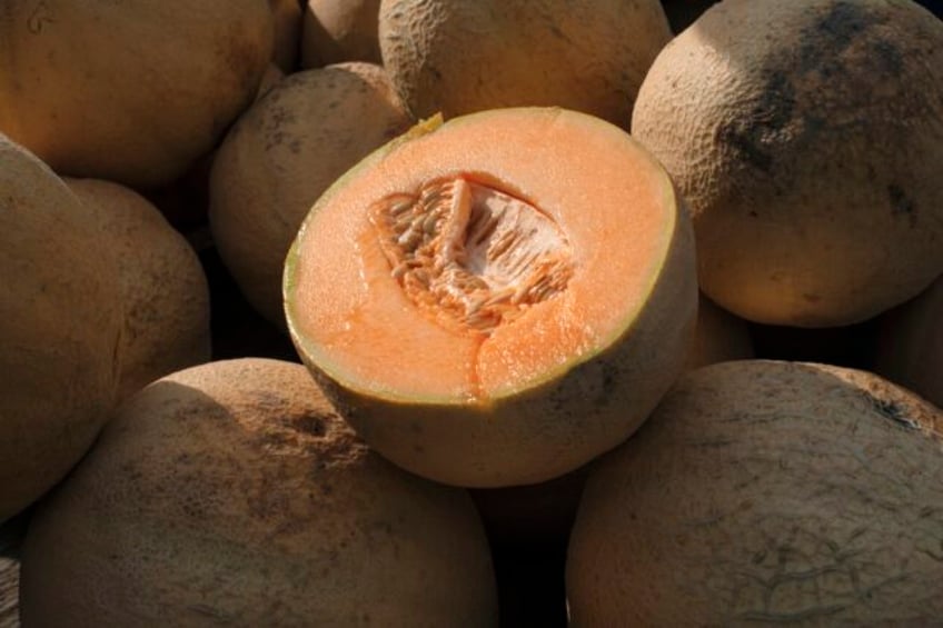 salmonella in cantaloupes sickens dozens in 15 states us health officials say