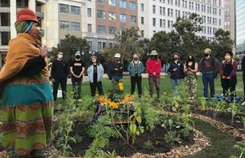 saturdays only for people of color at uc berkeley farm report