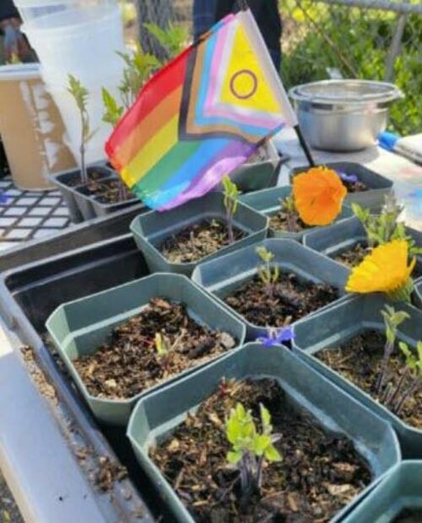 saturdays only for people of color at uc berkeley farm report