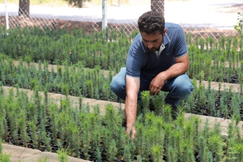 Staff at the plant nursery in Kurdistan, northern Iraq are prioritising drought and heat-r