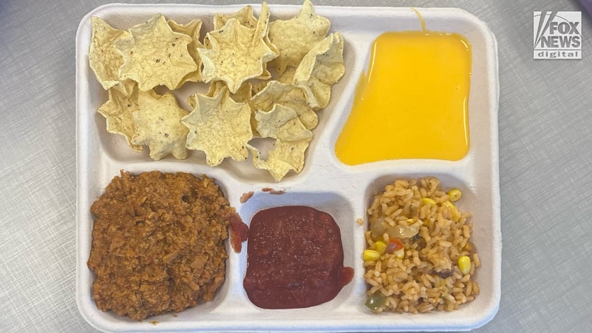 A school lunch containing chips, meat, rice, salsa, and cheese.