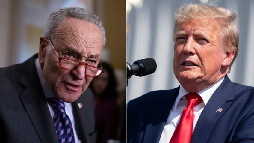 Schumer and Trump side by side photos