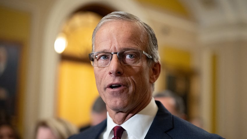 Senate Majority Leader John Thune