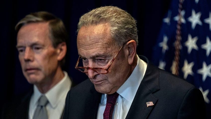 schumer to lead delegation of bipartisan lawmakers to israel this weekend