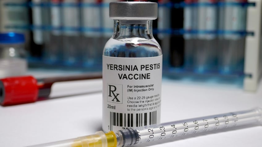 Yersinia pestis vaccine