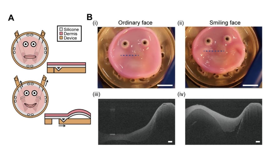 Scientists create creepy lifelike faces with real human skin for robots