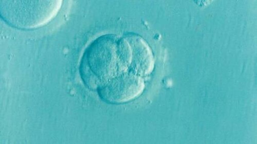 scientists create human entity that has no mother or father