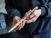 Scientists date the oldest known tools made from whale bones to 20,000 years ago
