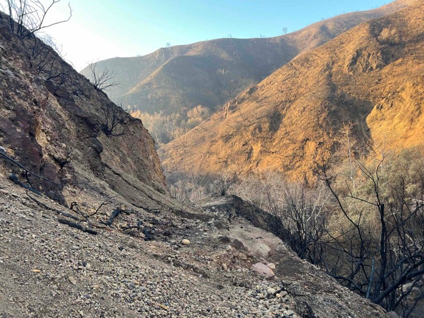 scorched mountains green shoots a canyon after palisades fire