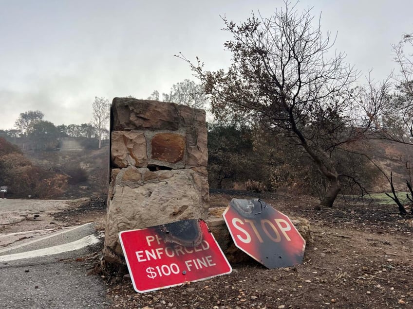 scorched mountains green shoots a canyon after palisades fire