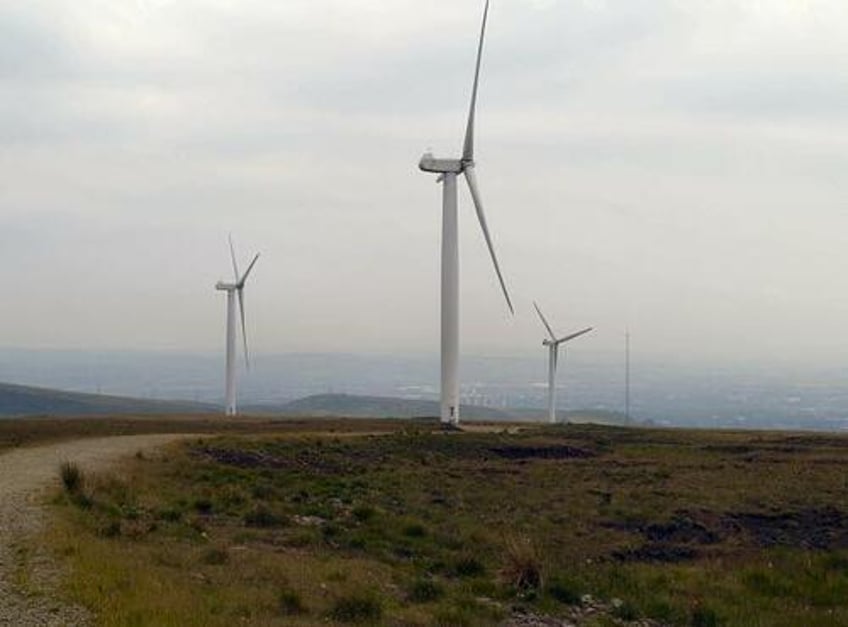 scottish govt axes 16 million trees to clear way for greener solutions