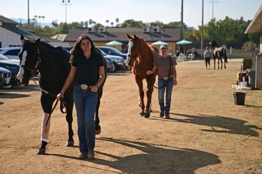 Hundreds of animals that have been made homeless by the Los Angeles fires have found a tem