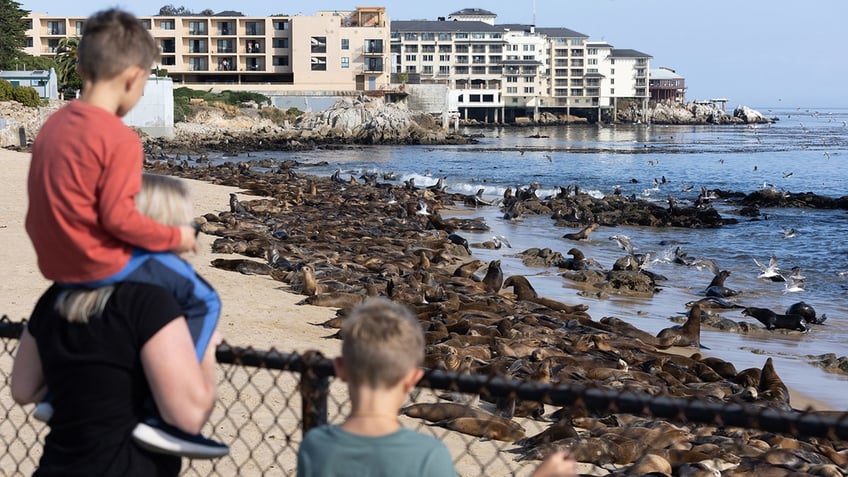 Pedestrians overlook San Carlos beach