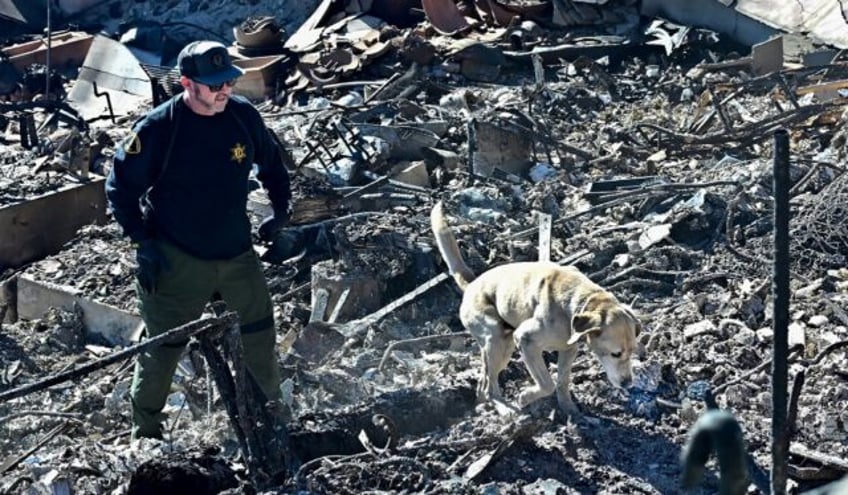 A cadaver dog, from the Los Angeles County Sheriff, sniffs through the rubble of beachfron