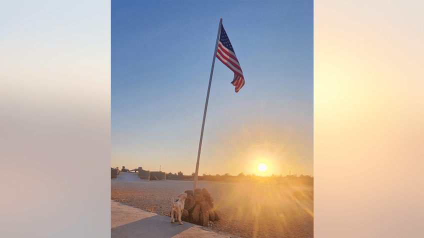 koda and American flag