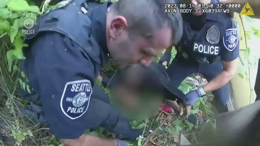 seattle officers attempted carjacking suspect stung by swarm of wasps during arrest bodycam video