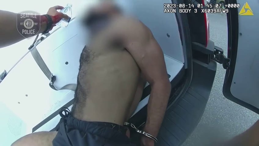 seattle officers attempted carjacking suspect stung by swarm of wasps during arrest bodycam video