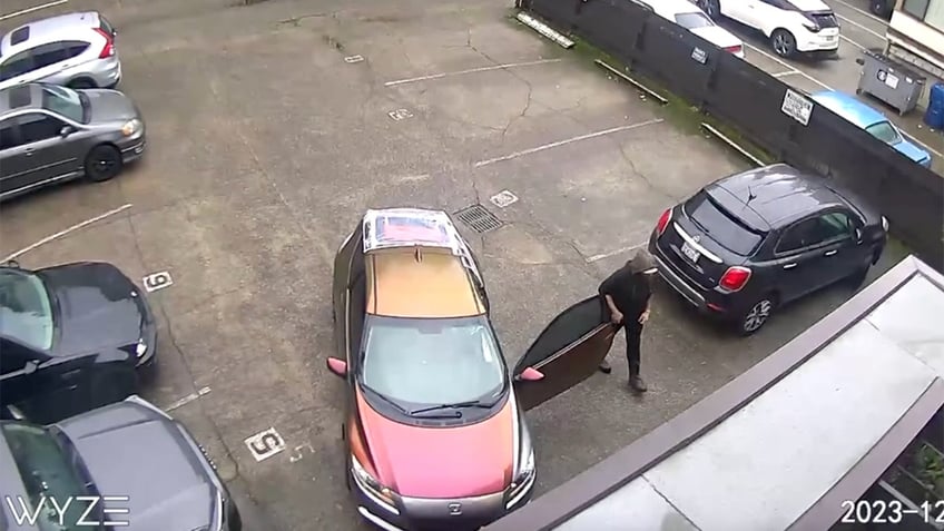 Seattle Porch Pirate