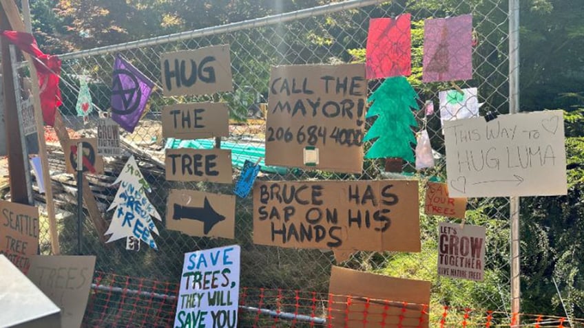 seattle woman occupies tree scheduled to be cut down for affordable housing units