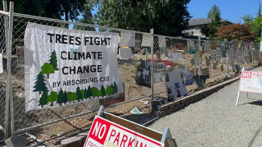 seattle woman occupies tree scheduled to be cut down for affordable housing units