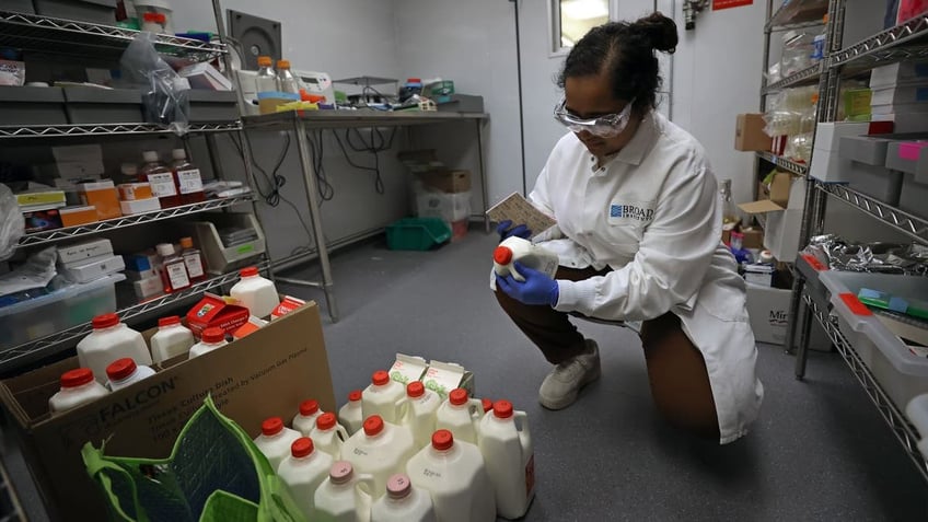 Doctor testing milk samples