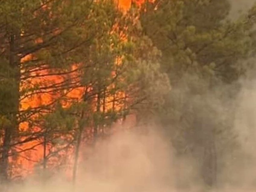 second person dies as wildfires scorch louisiana amid heat wave