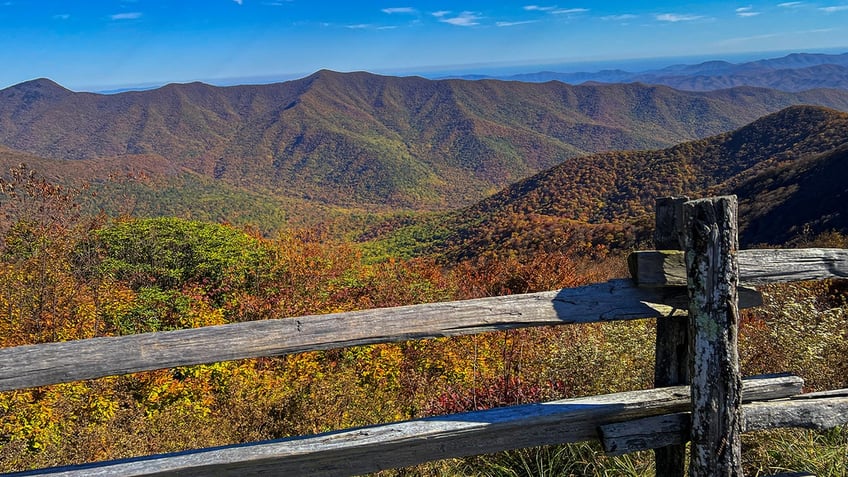 section of north carolinas blue ridge parkway closed after visitors interacted with bears