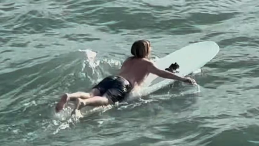 surfer paddles away with bird