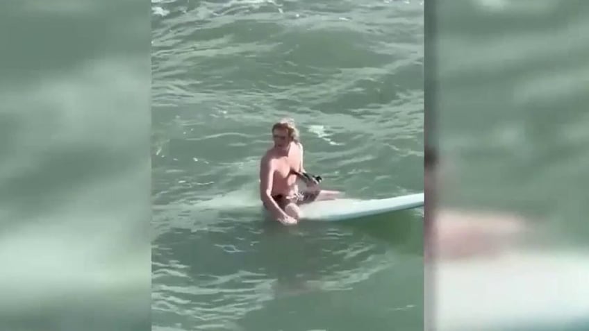 Surfer holds bird on board