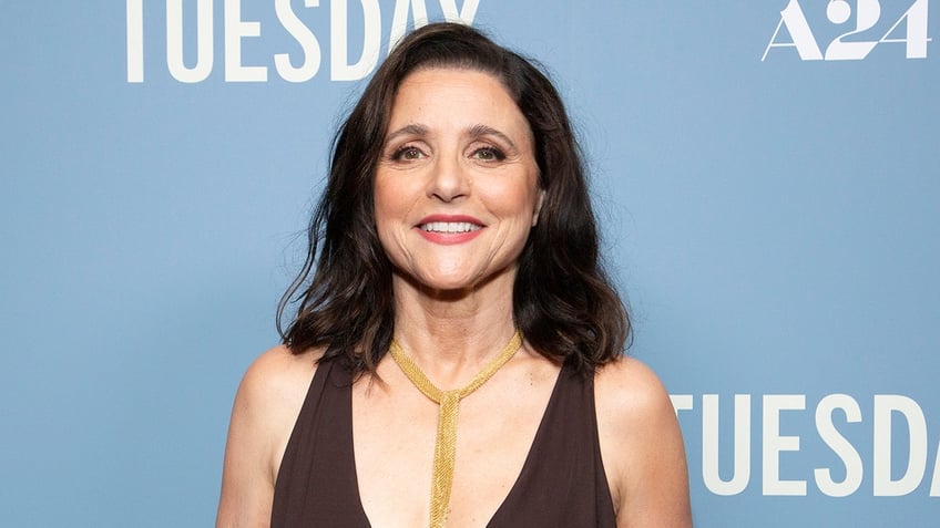 Julia Louis-Dreyfus wearing a gold necklace