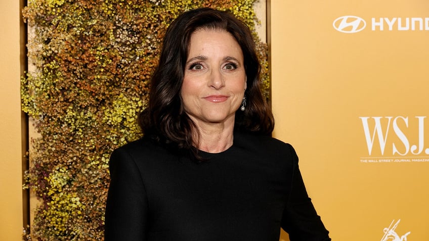 Close up of Julia Louis-Dreyfus