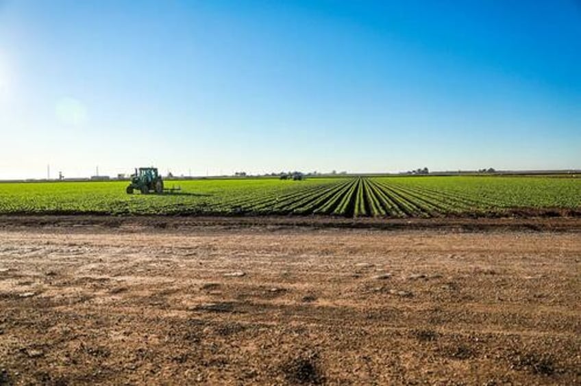 self deportations and plummeting crossings how new border policies impact arizona