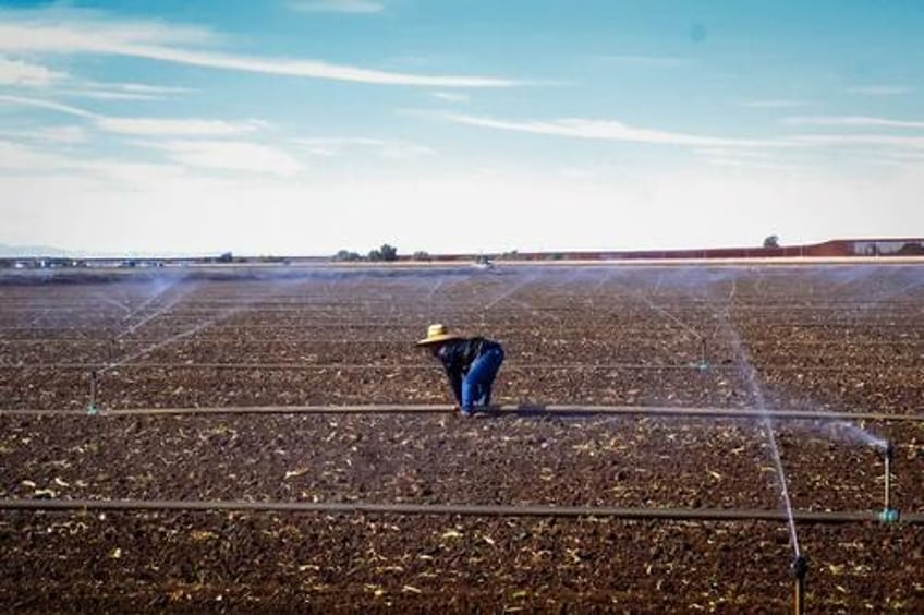 self deportations and plummeting crossings how new border policies impact arizona